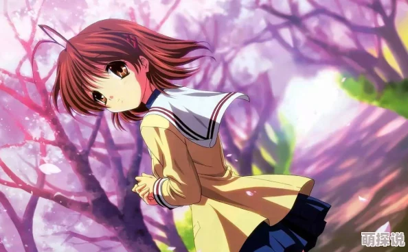 樱花动漫网页现已更新最新番剧资源等你来看 樱花动漫网页现已更新最新番剧资源等你来看