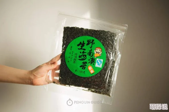 低糖海苔饼的小说作品爱与星辰相依心怀梦想勇敢追逐未来的光芒