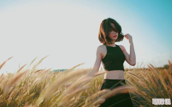 低糖海苔饼的小说作品爱与星辰相依心怀梦想勇敢追逐未来的光芒