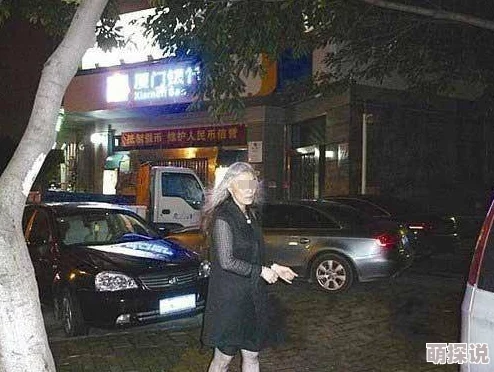 恋老小说和保洁老头的性事老年性向边缘书写与社会伦理的冲突探讨