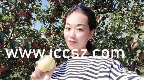 国产麻豆剧传媒精在线播放画质清晰流畅内容精彩值得推荐