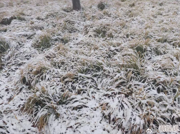 西北风凛冽刺骨寒风呼啸尘土飞扬冻得人瑟瑟发抖