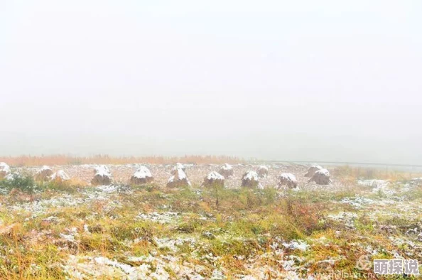 西北风凛冽刺骨寒风呼啸尘土飞扬冻得人瑟瑟发抖