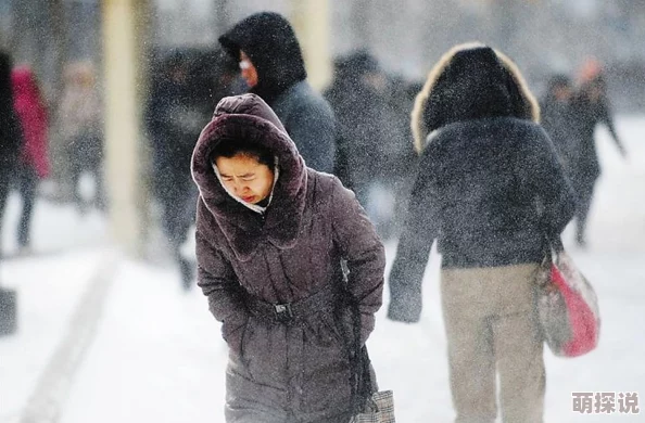 西北风凛冽刺骨寒风呼啸尘土飞扬冻得人瑟瑟发抖