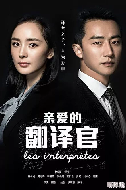 野鸭子第一部电视剧全集剧情重温亲情与奋斗历程展现当代女性独立精神