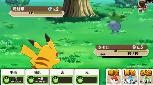 口袋妖怪复刻11.11新服盛启,集会广场热闹开启抢鲜体验 口袋妖怪复刻11.11新服盛启,集会广场热闹开启抢鲜体验