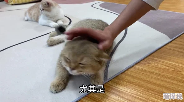 舔我下面好爽好想被舔据最新研究过度沉迷此类行为有害身心健康请注意节制