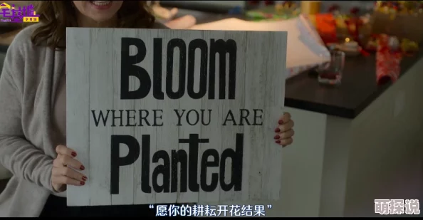 黄色手机视频欧美日韩内容低俗传播不良信息危害身心健康浪费时间