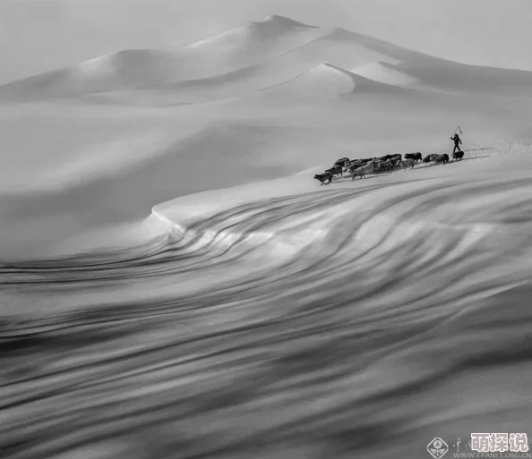 诗眼倦天涯主题摄影展明日开幕展出百余幅作品呈现诗意中国 诗眼倦天涯主题摄影展明日开幕展出百余幅作品呈现诗意中国