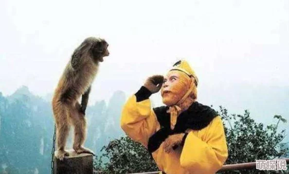 满了...太满了溢出来玩具网友：可爱又治愈，满满的童年回忆涌上心头