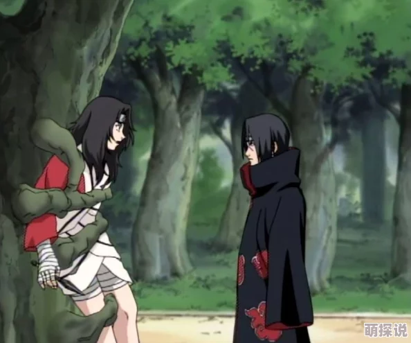 火影忍者手游决斗场新视角：废忍重塑阿斯玛与鬼鲛热门解析