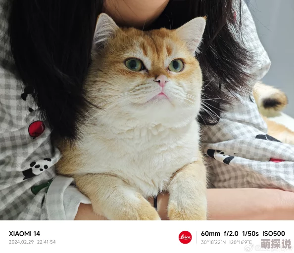 我爱a52o免费01听说主演私下养了三只猫还喜欢收集古董相机