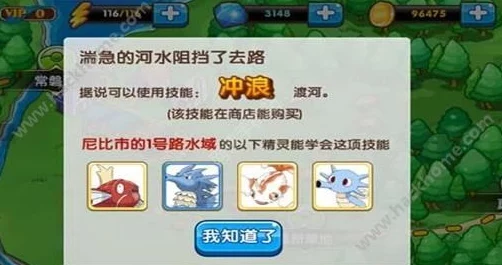 口袋妖怪复刻：帕路奇犽高效使用技巧与热门搭配攻略