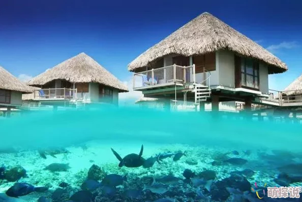 根西岛：探寻海峡群岛的文化瑰宝，体验独特的历史和迷人的自然风光