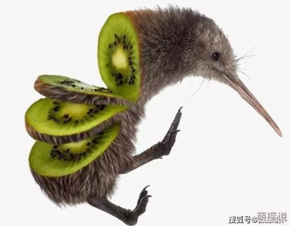 最新zooskoovideos精彩动物短片合集不容错过