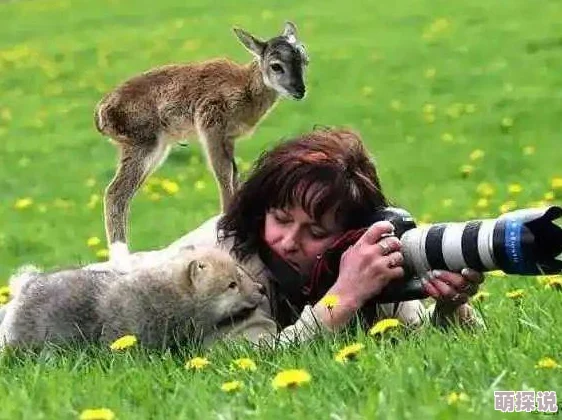 最新zooskoovideos精彩动物短片合集不容错过