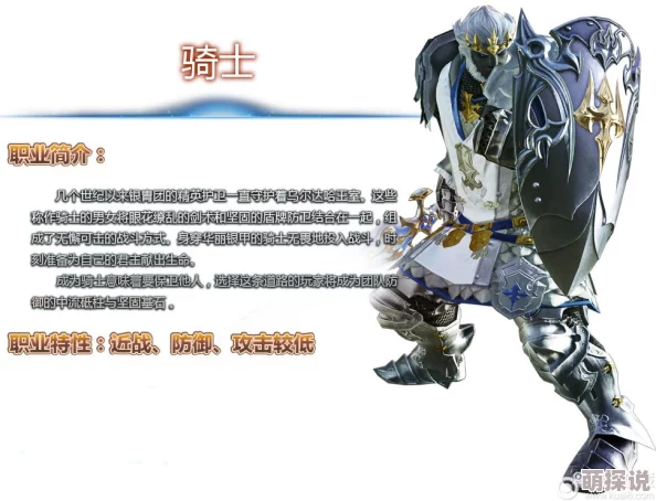 2024热门天空传说骑士职业技能流派深度剖析与解析