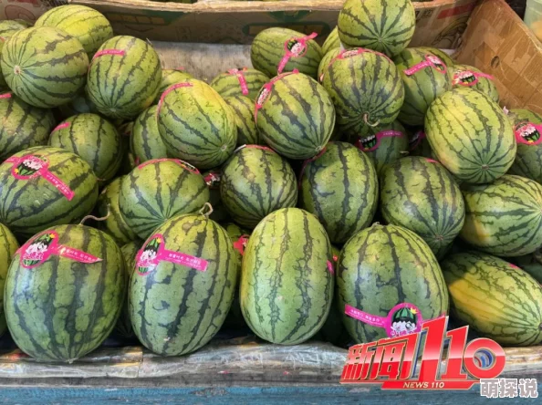 又大又黄又爽网友表示这瓜保熟口感好甜度也刚好