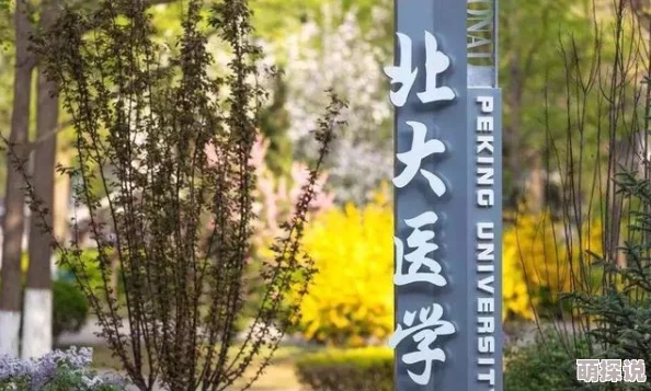 单一是什么意思指的是单一来源、单一功能或性质，不复杂多样，也指唯一的，单独的