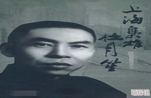 东北往事之黑道风云20年完整版高清修复版重磅上线再现经典江湖传奇