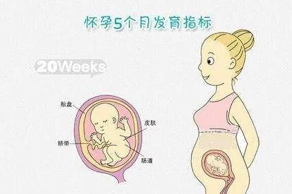 怀孕大肚子孕妇孕交网友：这种话题令人不适，希望平台加强管理