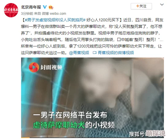 日韩性交一级免费视频网友称内容低俗传播不良信息违反相关规定