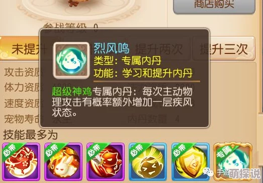 2024梦幻西游手游热门攻宠高级内丹精选推荐攻略