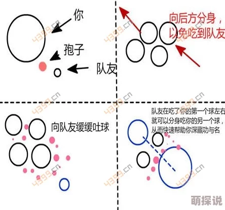 2024热门球球大作战：高级躲避与生存技巧全面分享