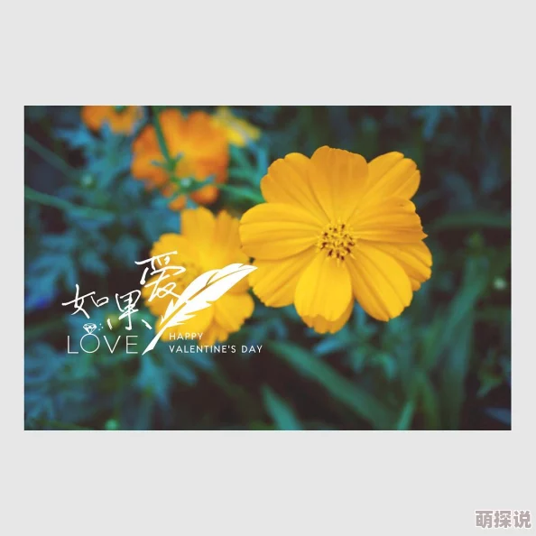 国产wwwww为何剧情节奏紧凑引人入胜扣人心弦