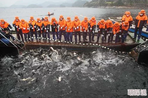 《捕鱼来了》游戏攻略：揭秘最新热门鱼群弱点与捕捉技巧分享