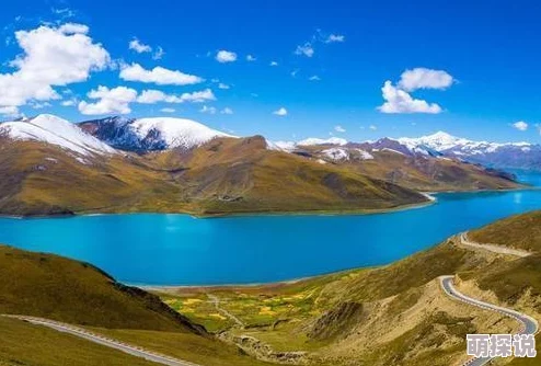 《捕鱼来了》游戏攻略：揭秘最新热门鱼群弱点与捕捉技巧分享