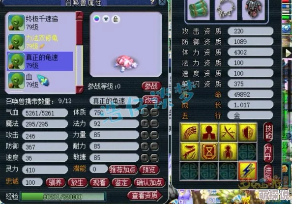 梦幻西游手游：深度剖析龟速方寸孩子实战实用性与策略