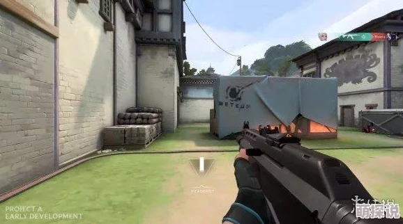 退役CS高手揭秘：守望先锋最新热门射击技巧与心得分享