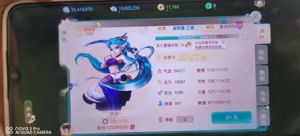2024大话西游热血版：顶尖女仙伙伴搭配热门推荐攻略