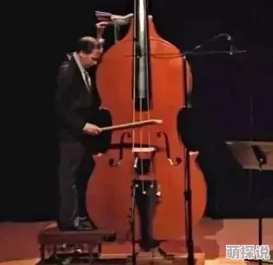 十二月剧团古典乐团最热门小提琴曲目揭秘