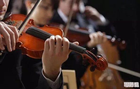 十二月剧团古典乐团最热门小提琴曲目揭秘