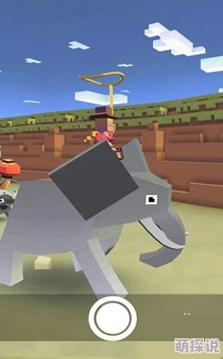 2024疯狂动物园帽子图鉴大全：热门汽水帽及最新潮流款式汇总