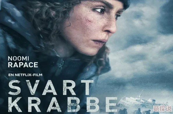 黑蟹行动在线观看免费完整版瑞典动作惊悚片Netflix出品中文字幕资源
