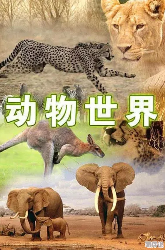 最新zooskoovideos美国探索动物世界精彩瞬间揭秘自然奇观