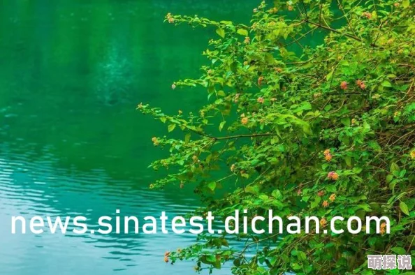 无翼乌全彩之调教大全不知火舞2025全新VR版本体感交互更逼真 无翼乌全彩之调教大全不知火舞2025全新VR版本体感交互更逼真