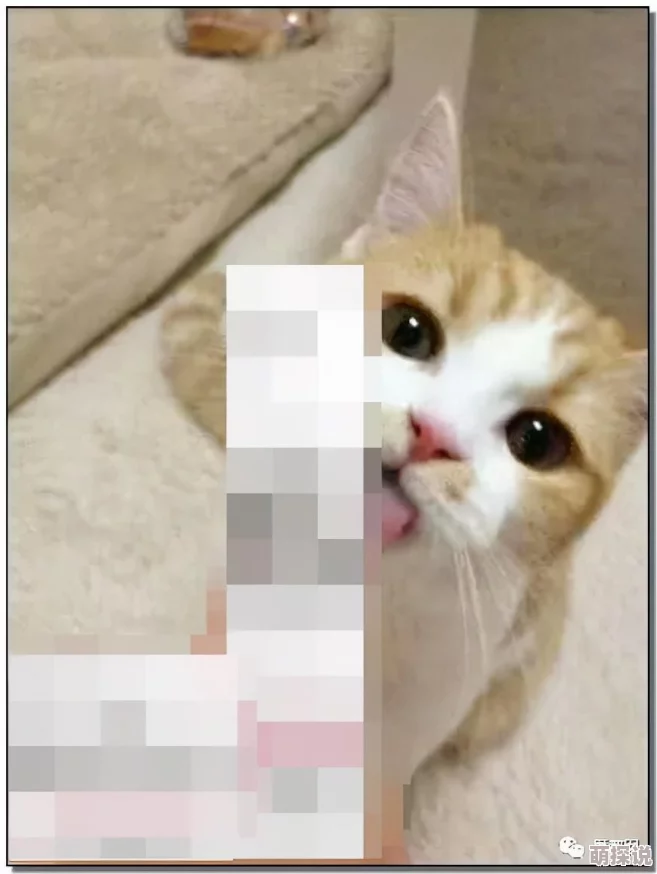 舔女生下体2025元宇宙感官体验虚拟现实技术突破次元壁 舔女生下体2025元宇宙感官体验虚拟现实技术突破次元壁