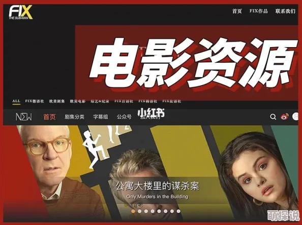 高清欧美一区二区免费影视资源分类清晰内容丰富更新及时但需注意版权与合法性