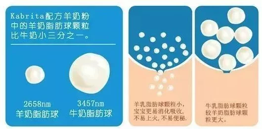碗公奶营养新升级富含A2蛋白益生菌守护肠道健康2025全新配方