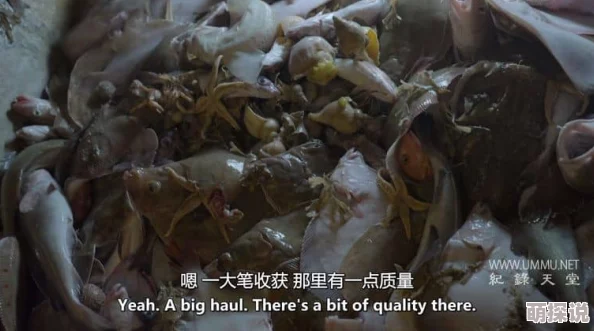 渔夫荒淫牲艳史h2025海洋环保纪录片引发热议